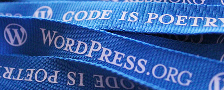 8 Common WordPress mistakes you could be making
