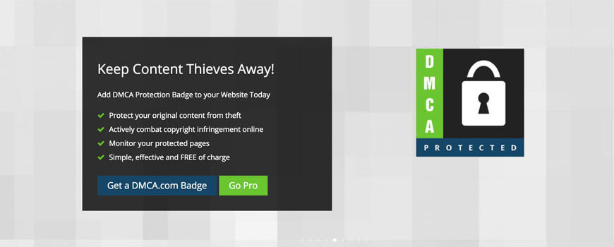 DMCA (Digital Millennium Copyright Act)