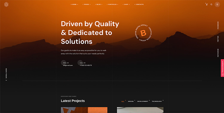 Bili - WordPress Theme