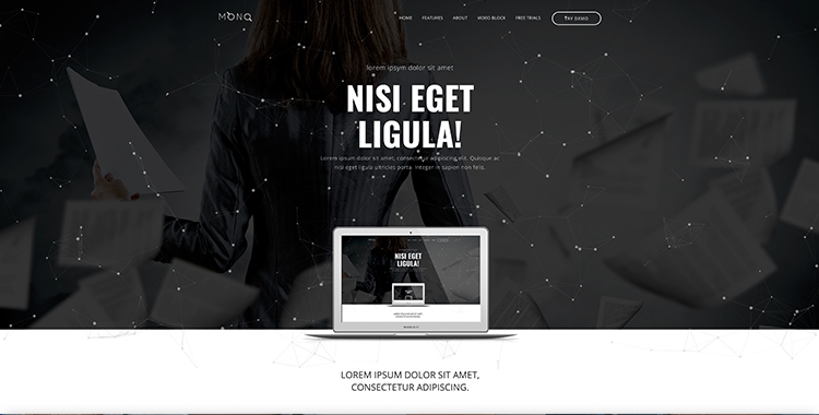 Mono free landing page bootstrap template