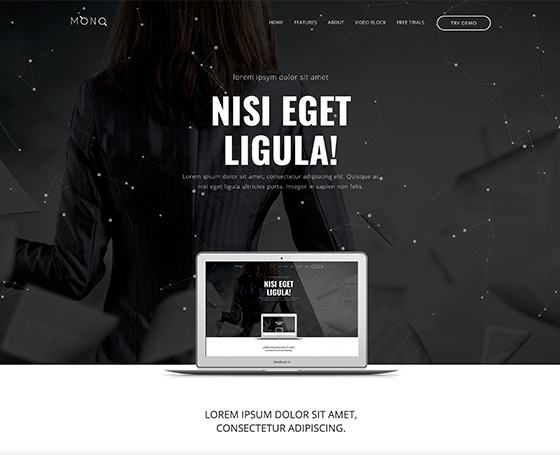Mono free landing page template Mono free landing page template