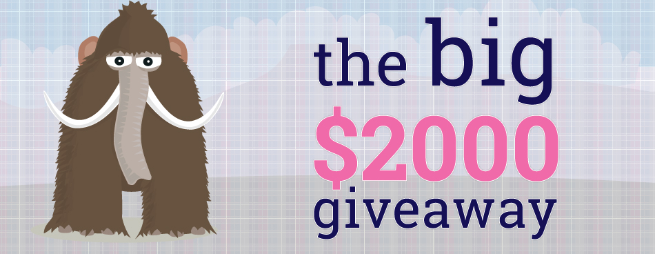 Giveaway for Theme Developers