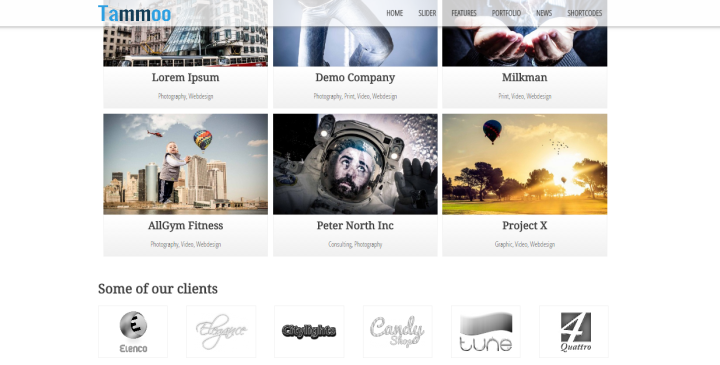 Tammoo - WordPress Template