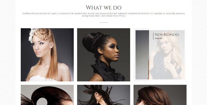 Curls - Hair Salon WordPress Responsive Template