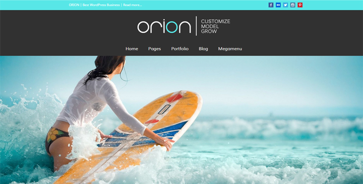 Orion - Parallax WordPress Template