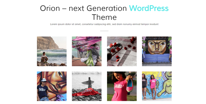 Orion - WordPress Template