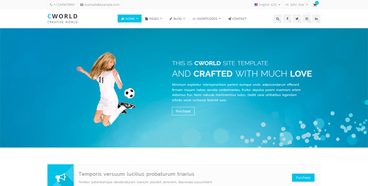 CWorld - Multi Purpose Bootstrap Template