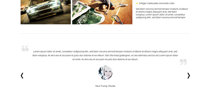 Nico - Multipurpose WordPress Template