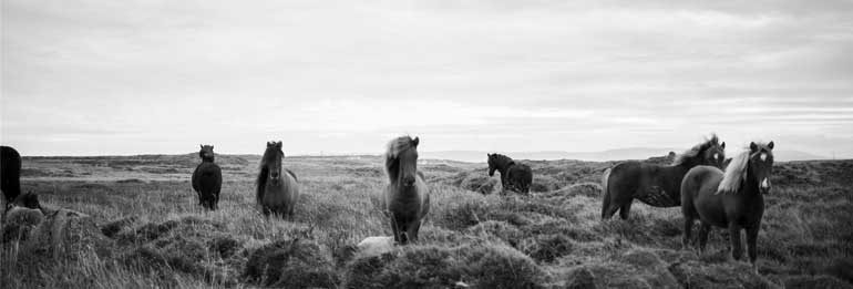 Make your image black and white