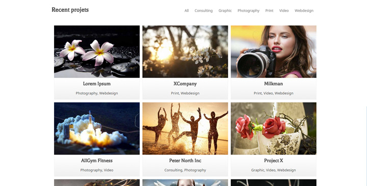 Nitro - Powerfull multipurpose WordPress Template