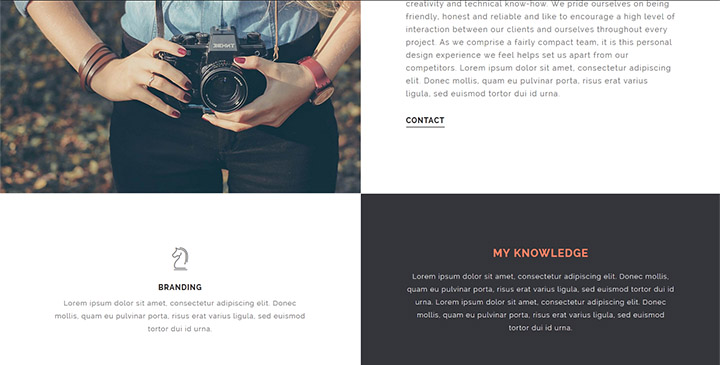 Orsova - Creative Agency & Portfolio Template