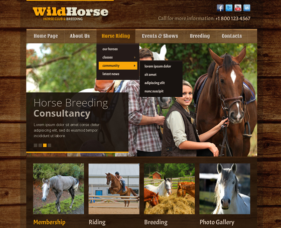 Wild Horse Bootstrap Theme Wild Horse Bootstrap Theme