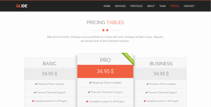 Glide - MultiPurpose Website Template
