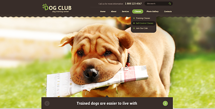 Pet care template
