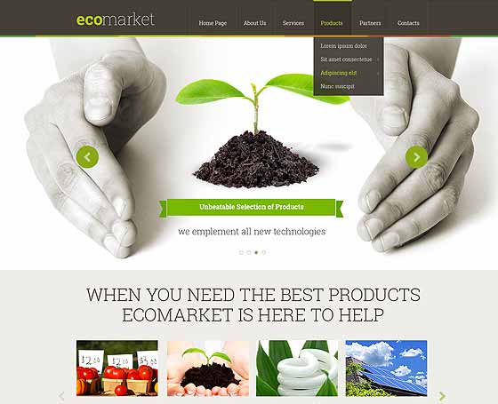 Eco wordpress theme