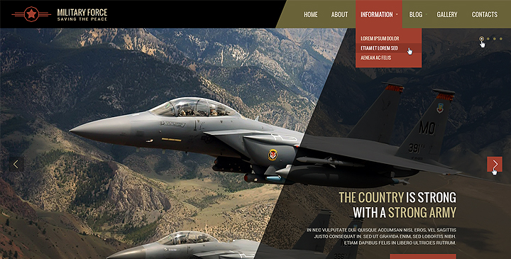 Wordpress military theme