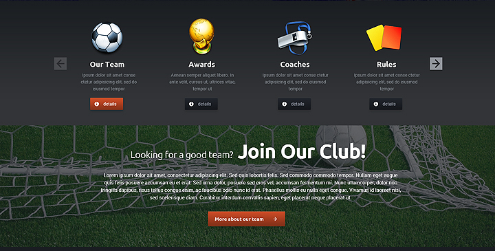 WordPress sports theme